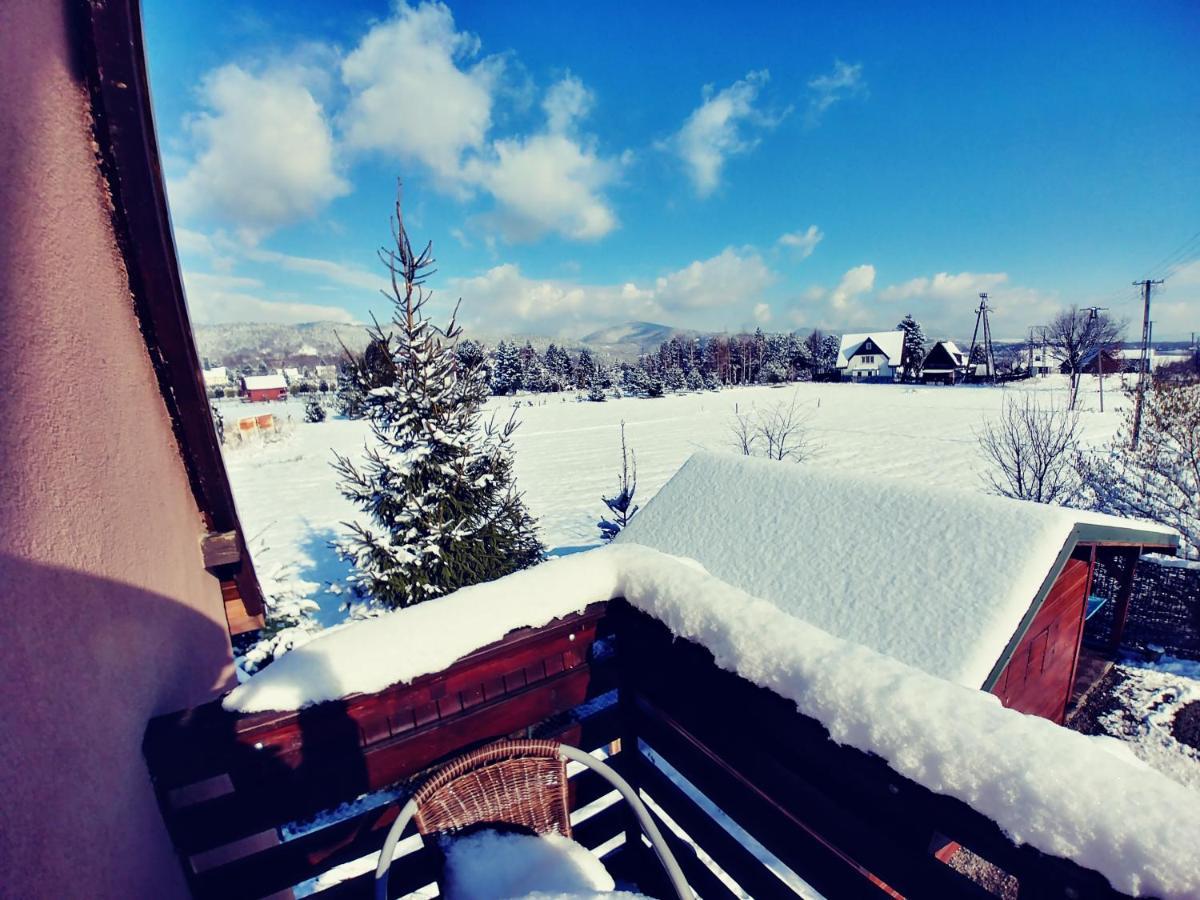 Domek "Igor" Nad Jeziorem Zywieckim W Zarzeczu Zarzecze  Exterior foto
