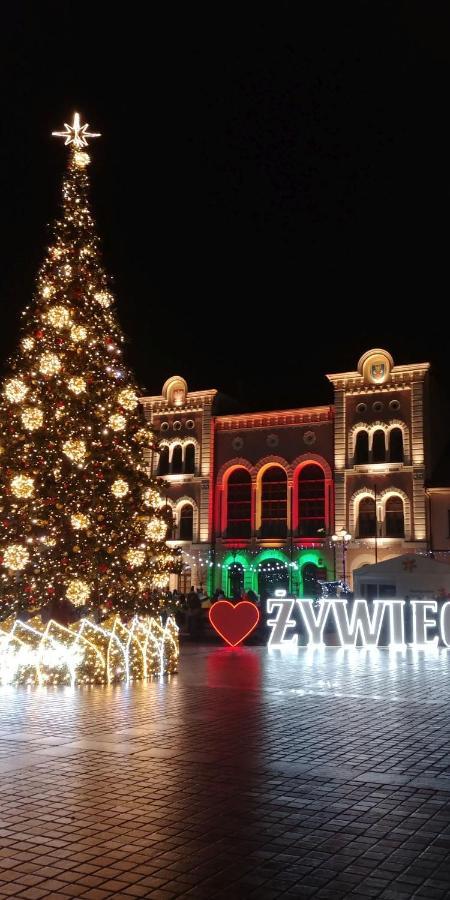 Domek "Igor" Nad Jeziorem Zywieckim W Zarzeczu Zarzecze  Exterior foto